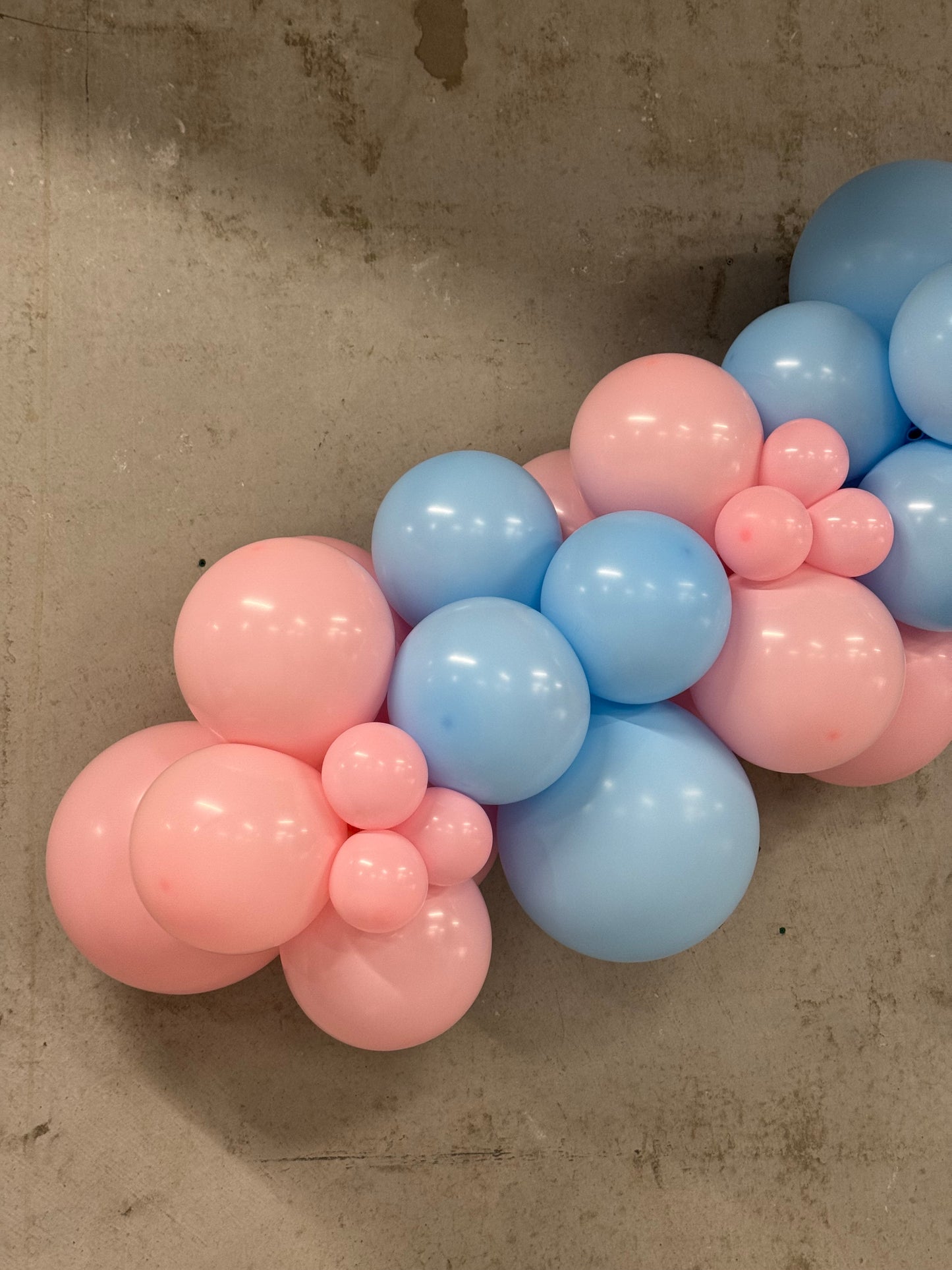 Pink or Blue
