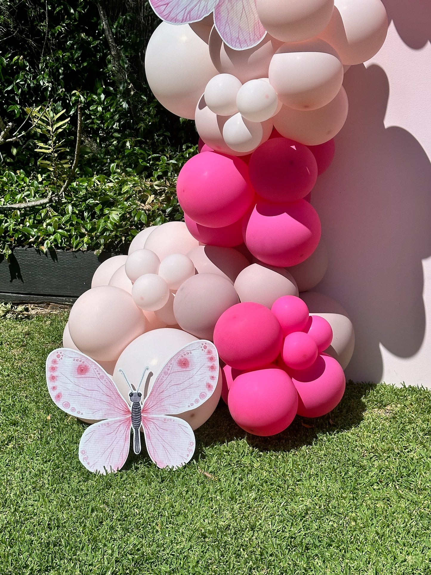 Mini Butterfly Backdrop Package
