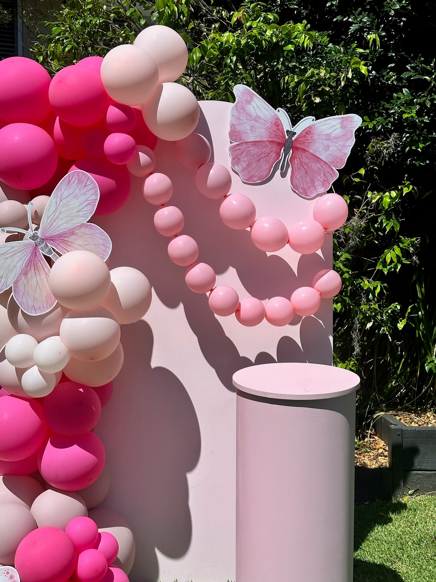 Mini Butterfly Backdrop Package