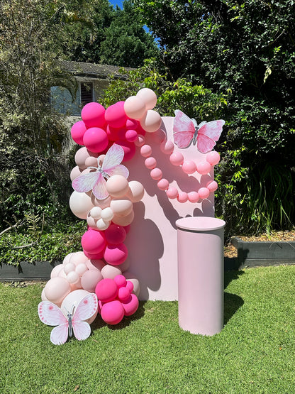 Mini Butterfly Backdrop Package