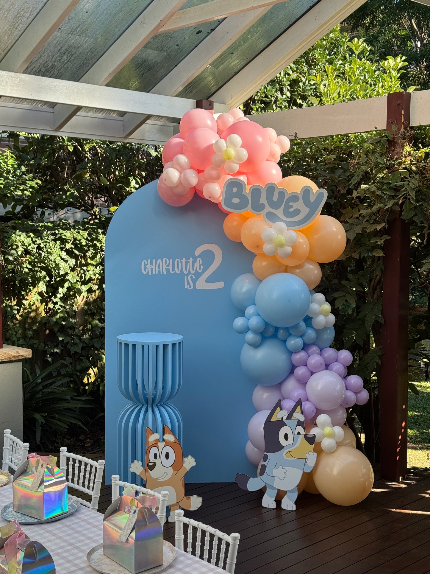 Bluey Event Package Sydney