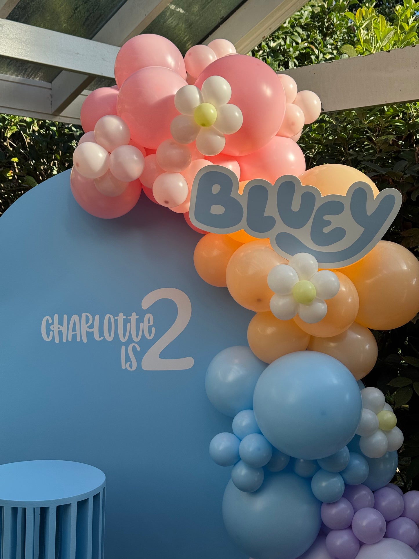 Bluey Event Package Sydney