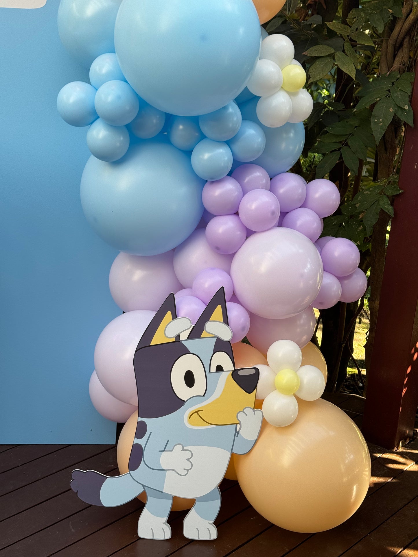 Bluey Event Package Sydney