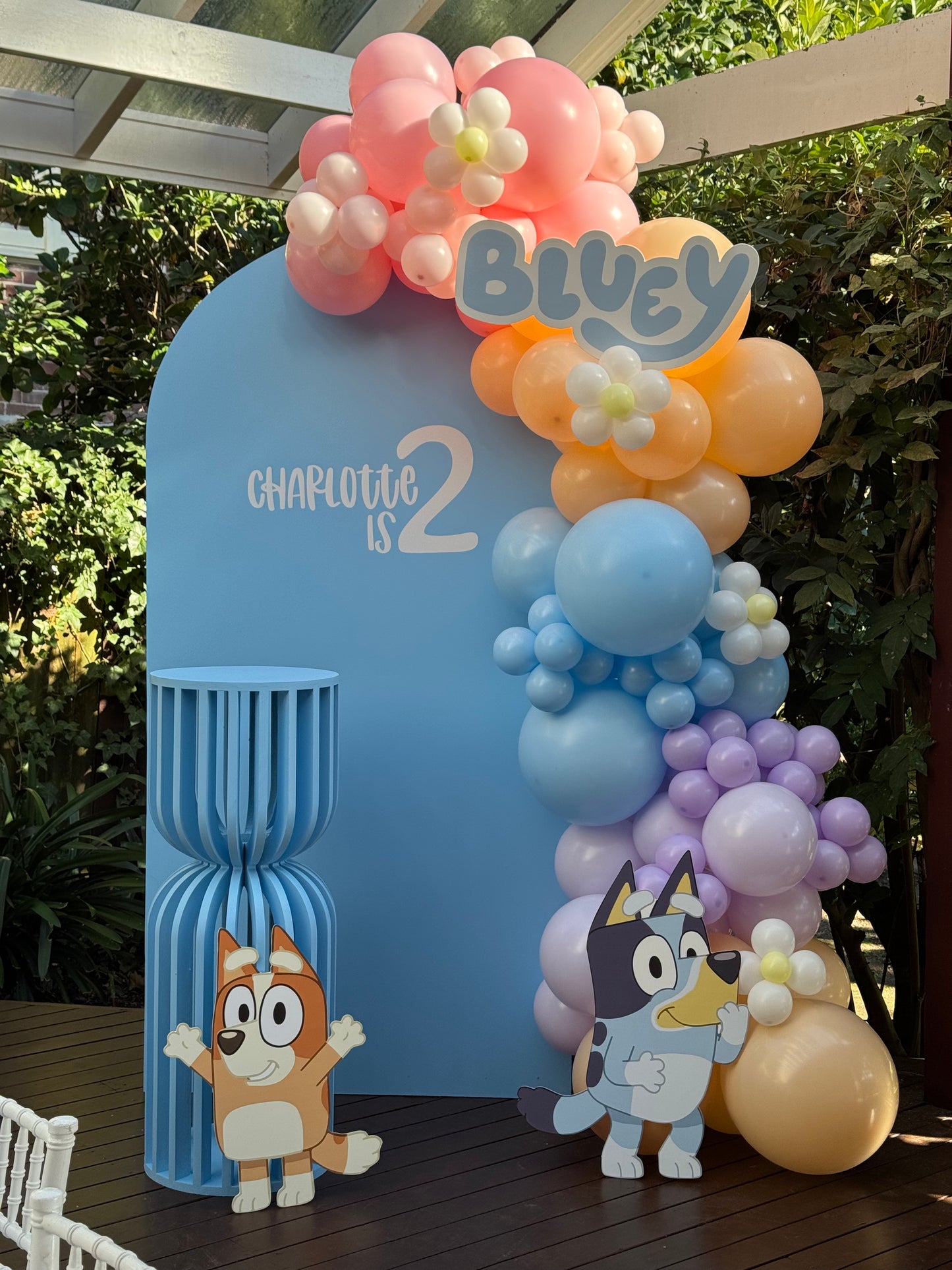 Bluey Event Package Sydney