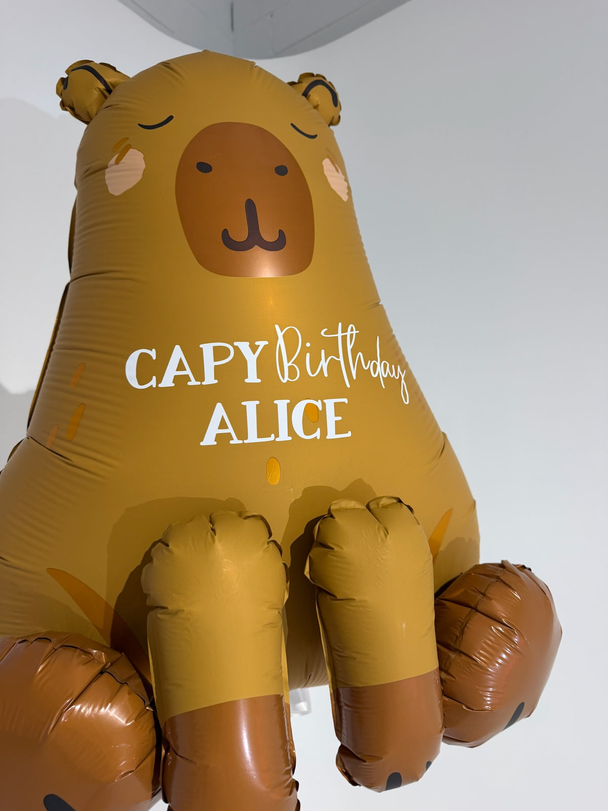 Huge Personalised Capybara Balloon